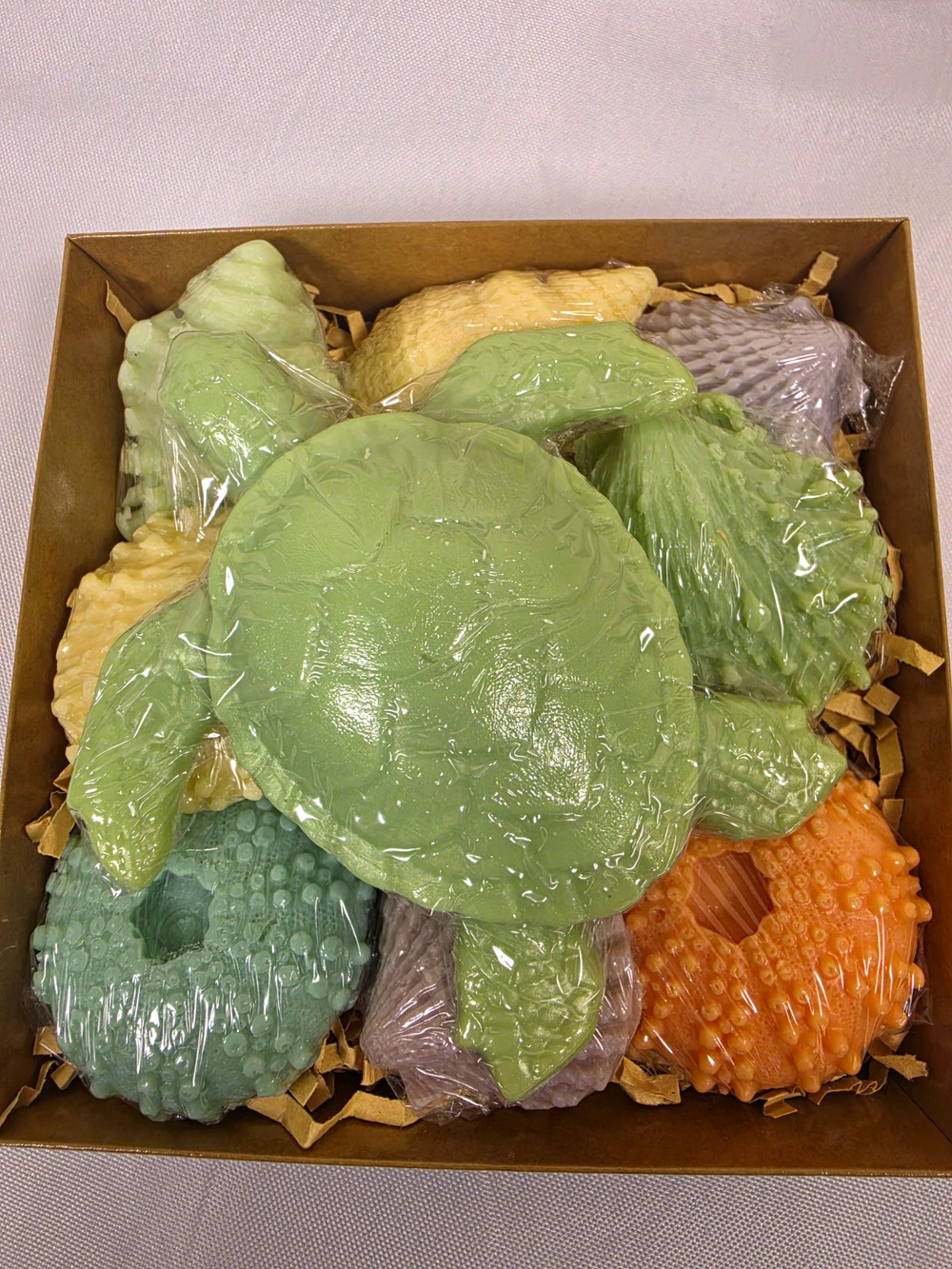 Green Sea Turtle with Assorted Shells Goat Milk Soap Gift Set Handmade Made USA